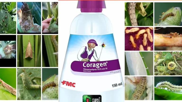 FMC Coragen insecticide