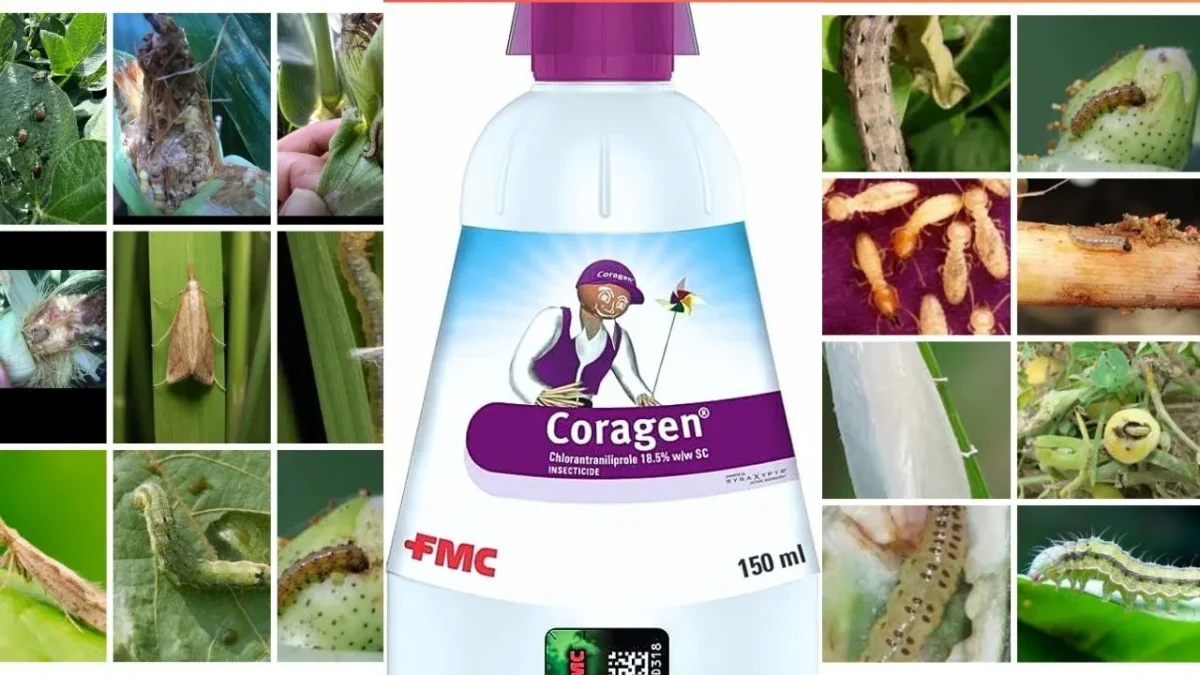 FMC Coragen insecticide