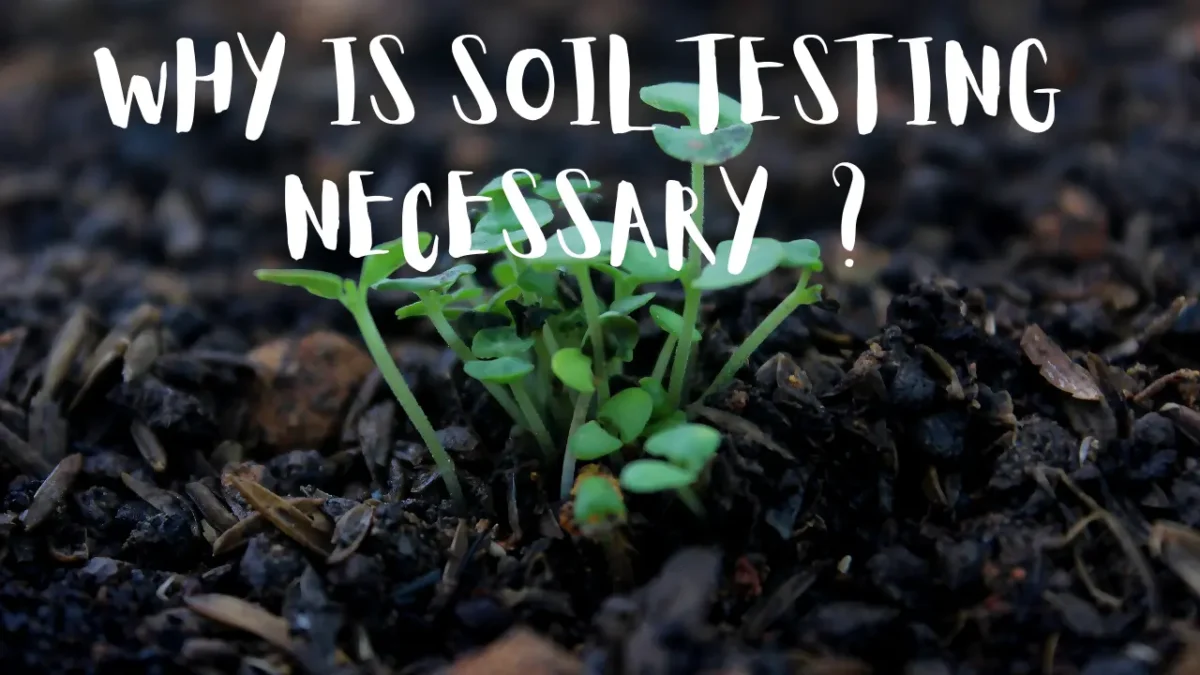 Why is soil testing Important