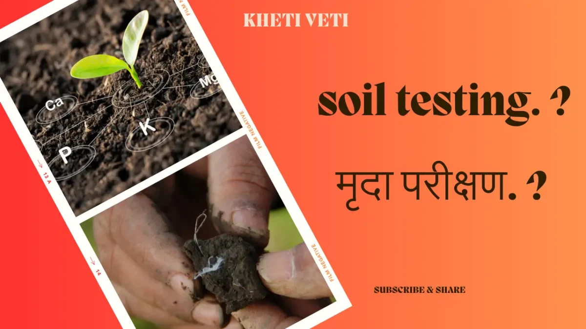 मृदा परीक्षण (Soil Testing)