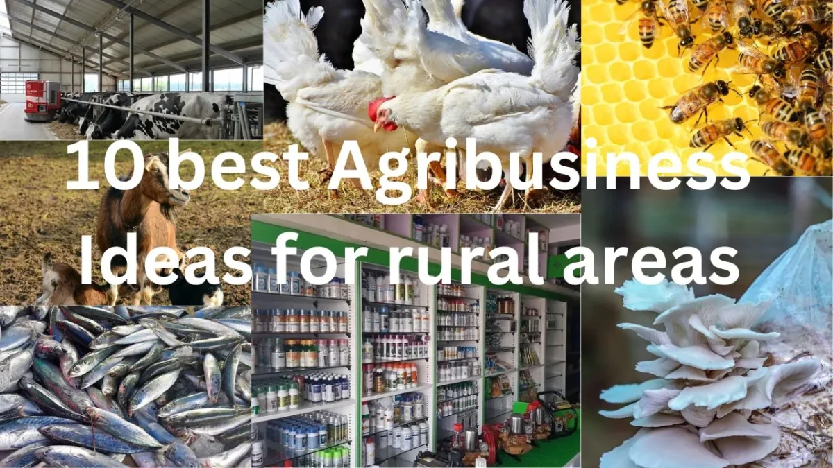 10 best Agribusiness Ideas for rural areas full details in Hindi