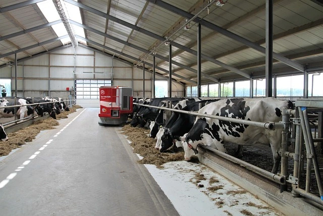 10 best Agribusiness Ideas for rural areas full details in Hindi