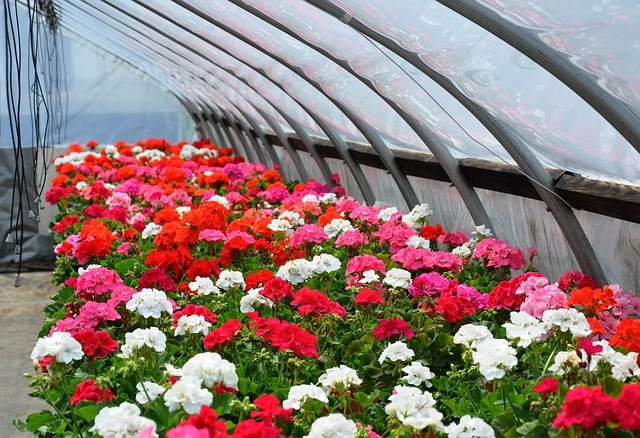 10 best Agribusiness Ideas for rural areas full details in Hindi