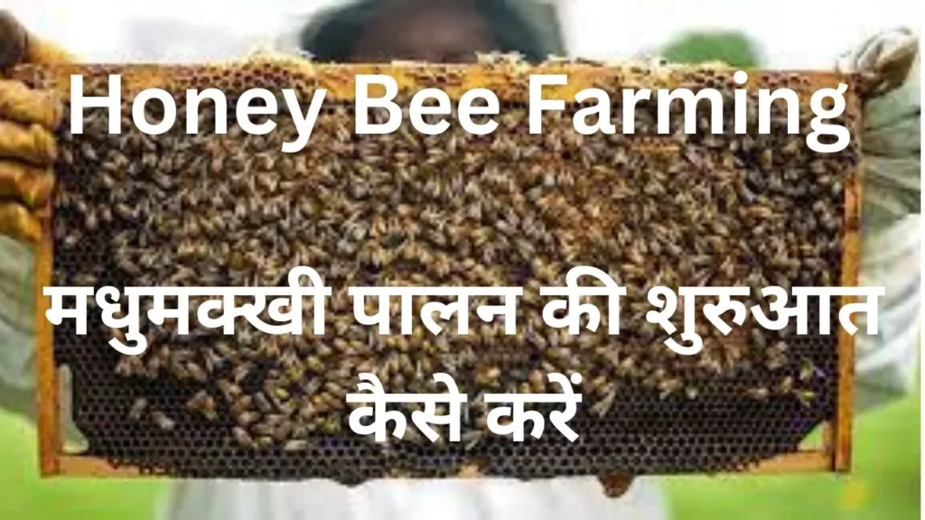 How to Start Honey Bee farming business/मधुमक्खी पालन की शुरुआत कैसे करें