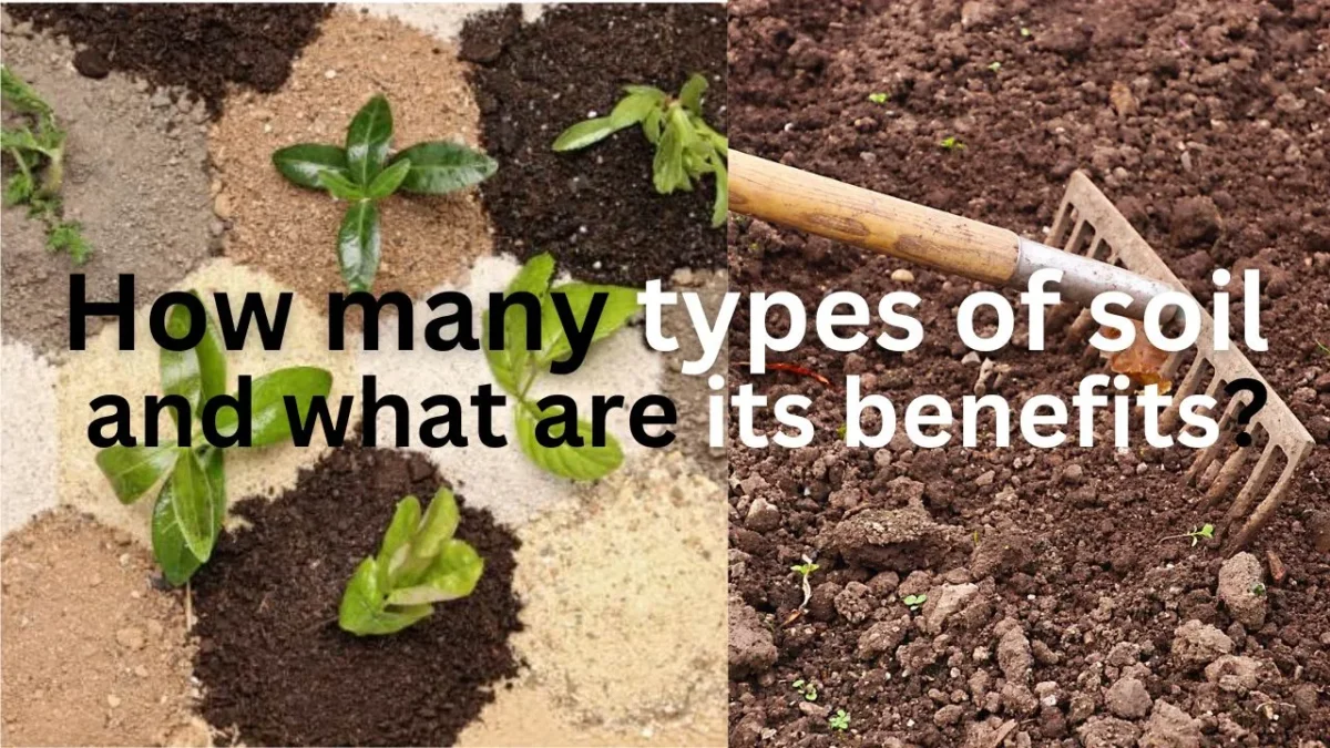 How many types of soil and what are its benefits? मिट्टी के प्रकार और इसके फायदे क्या है