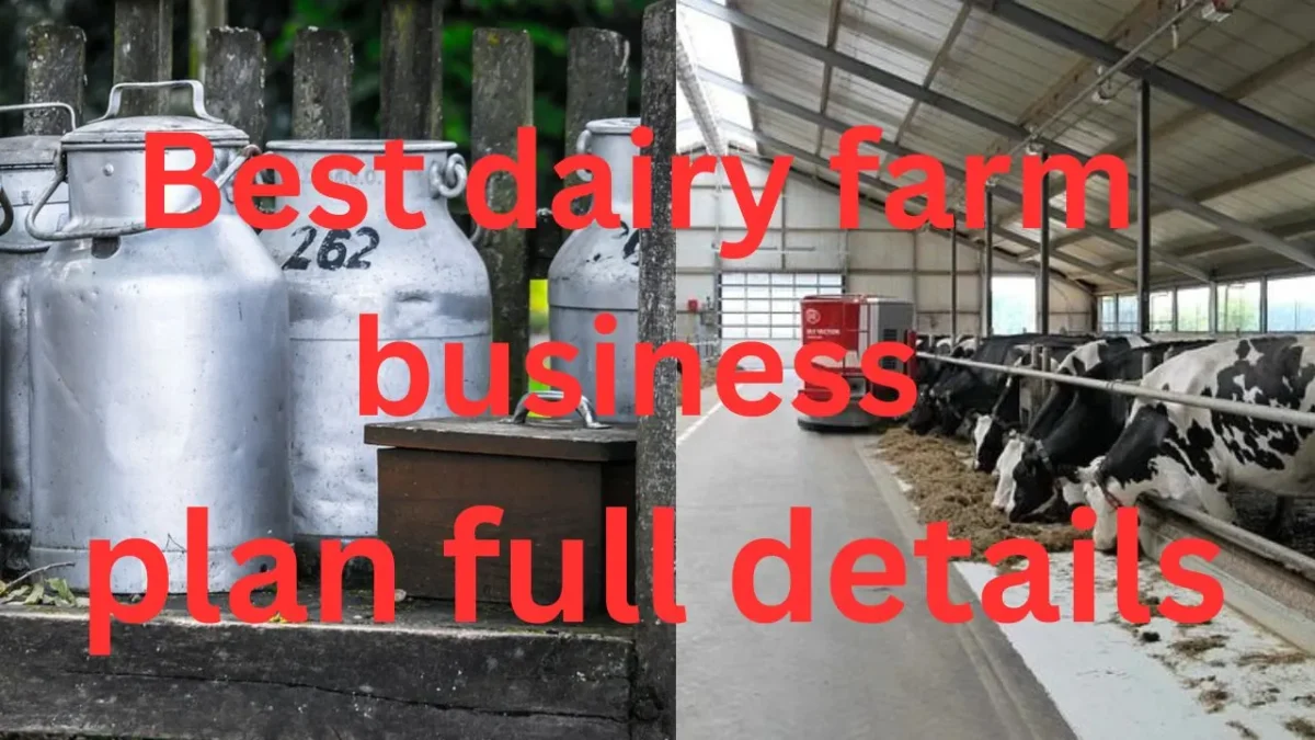best-dairy-farm-business-plan-full-details