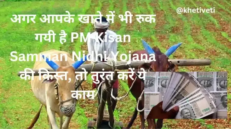 अगर आपके खाते में भी रुक गयी है PM Kisan Samman Nidhi Yojana की किस्त, तो तुरंत करें ये काम