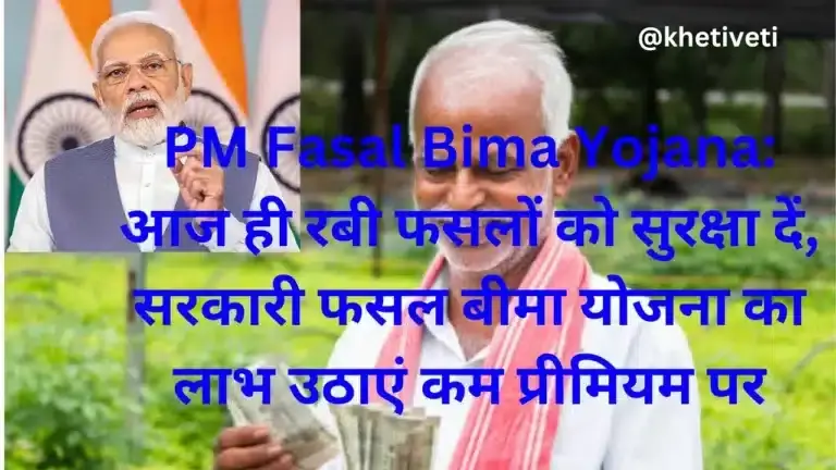 PM Fasal Bima Yojana: आज ही रबी फसलों को सुरक्षा दें, सरकारी फसल बीमा योजना का लाभ उठाएं कम प्रीमियम पर