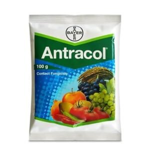 bayer antracol fungicide